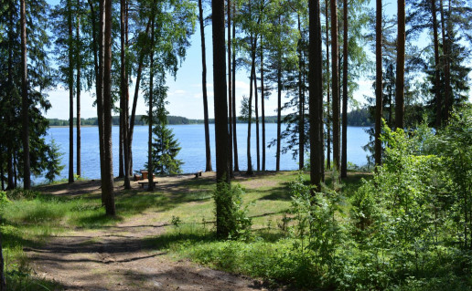 35_Arino I stovyklavietė (5).jpg